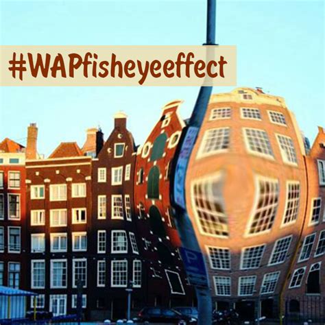The Fisheye Photo Effect Weekend Art Project .